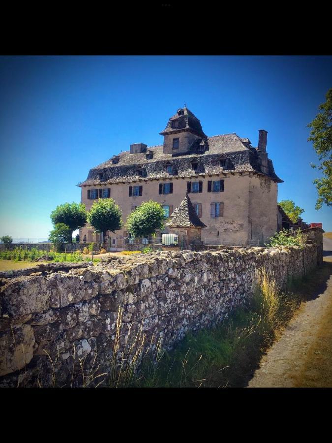 Chateau De Cours Sénezergues 外观 照片